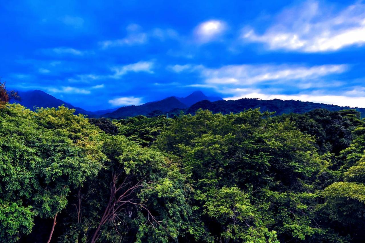 Villa Maria Tayrona, Jungle And Sea Experience Los Naranjos Dış mekan fotoğraf