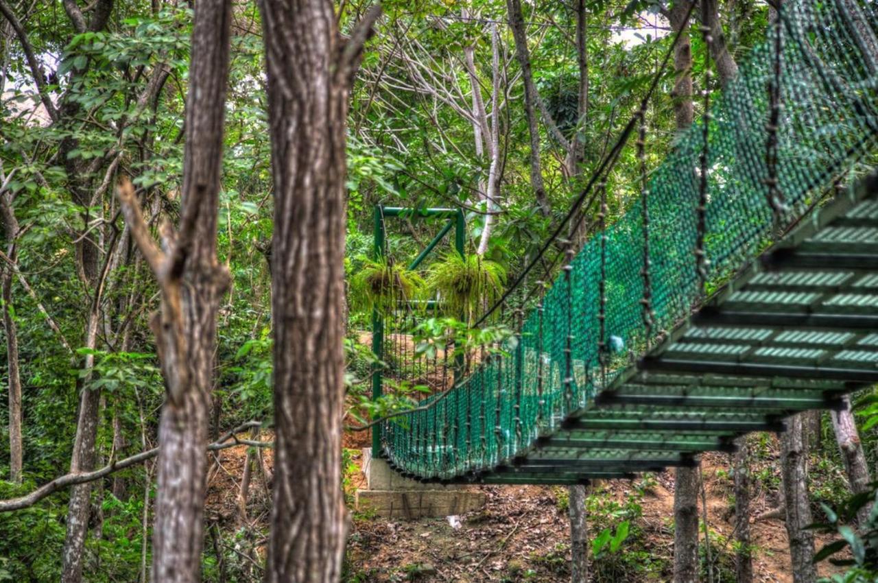 Villa Maria Tayrona, Jungle And Sea Experience Los Naranjos Dış mekan fotoğraf