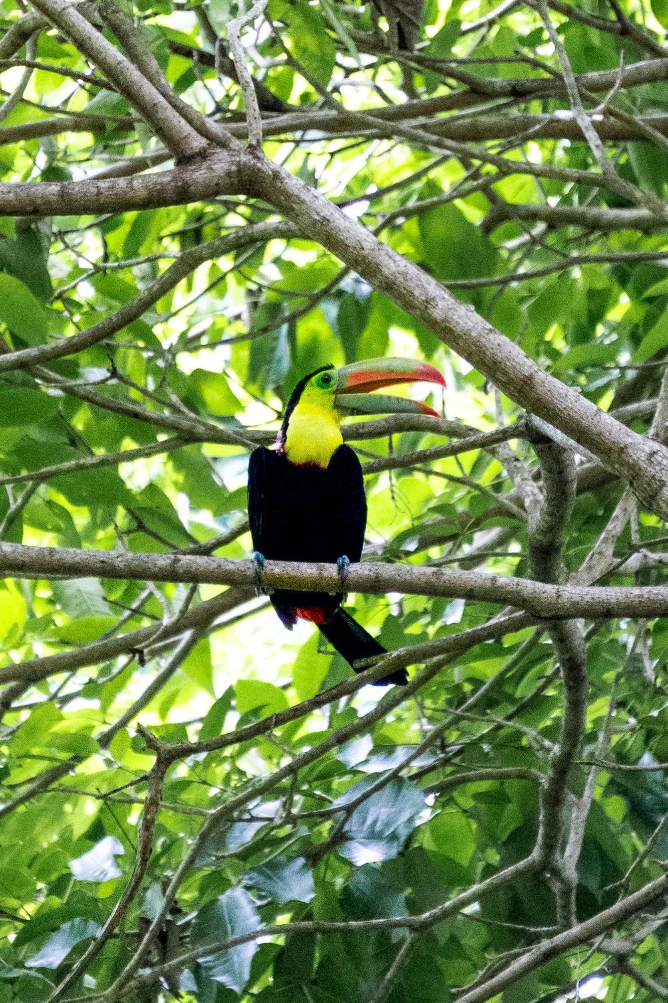 Villa Maria Tayrona, Jungle And Sea Experience Los Naranjos Dış mekan fotoğraf