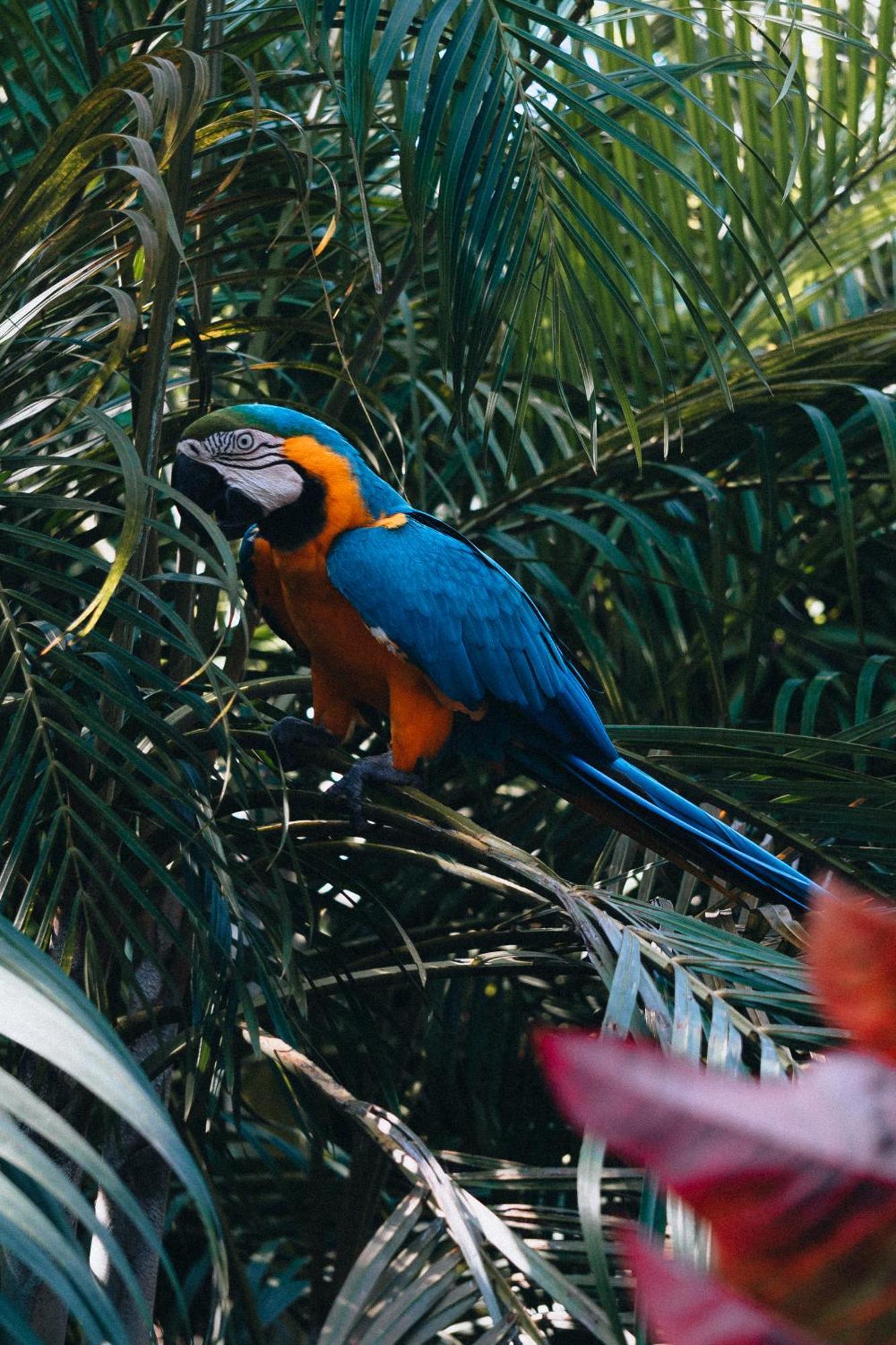 Villa Maria Tayrona, Jungle And Sea Experience Los Naranjos Dış mekan fotoğraf