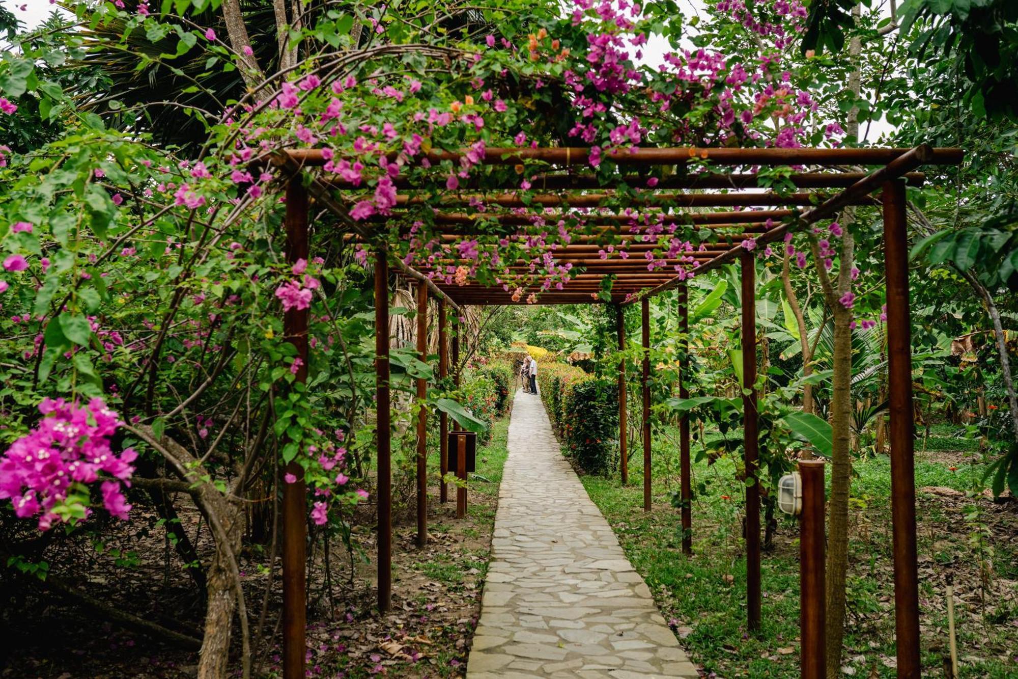 Villa Maria Tayrona, Jungle And Sea Experience Los Naranjos Dış mekan fotoğraf